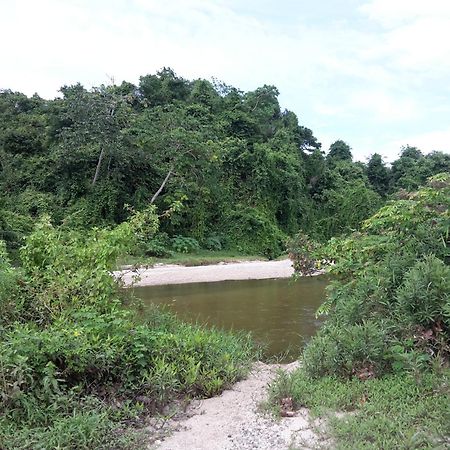 Cabana Wiwa Tayrona Los Naranjos Buitenkant foto