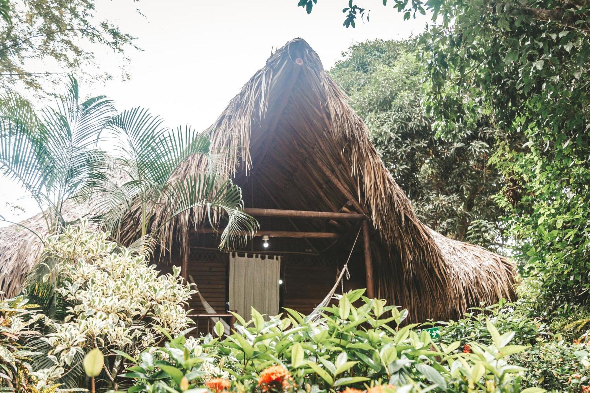 Cabana Wiwa Tayrona Los Naranjos Buitenkant foto
