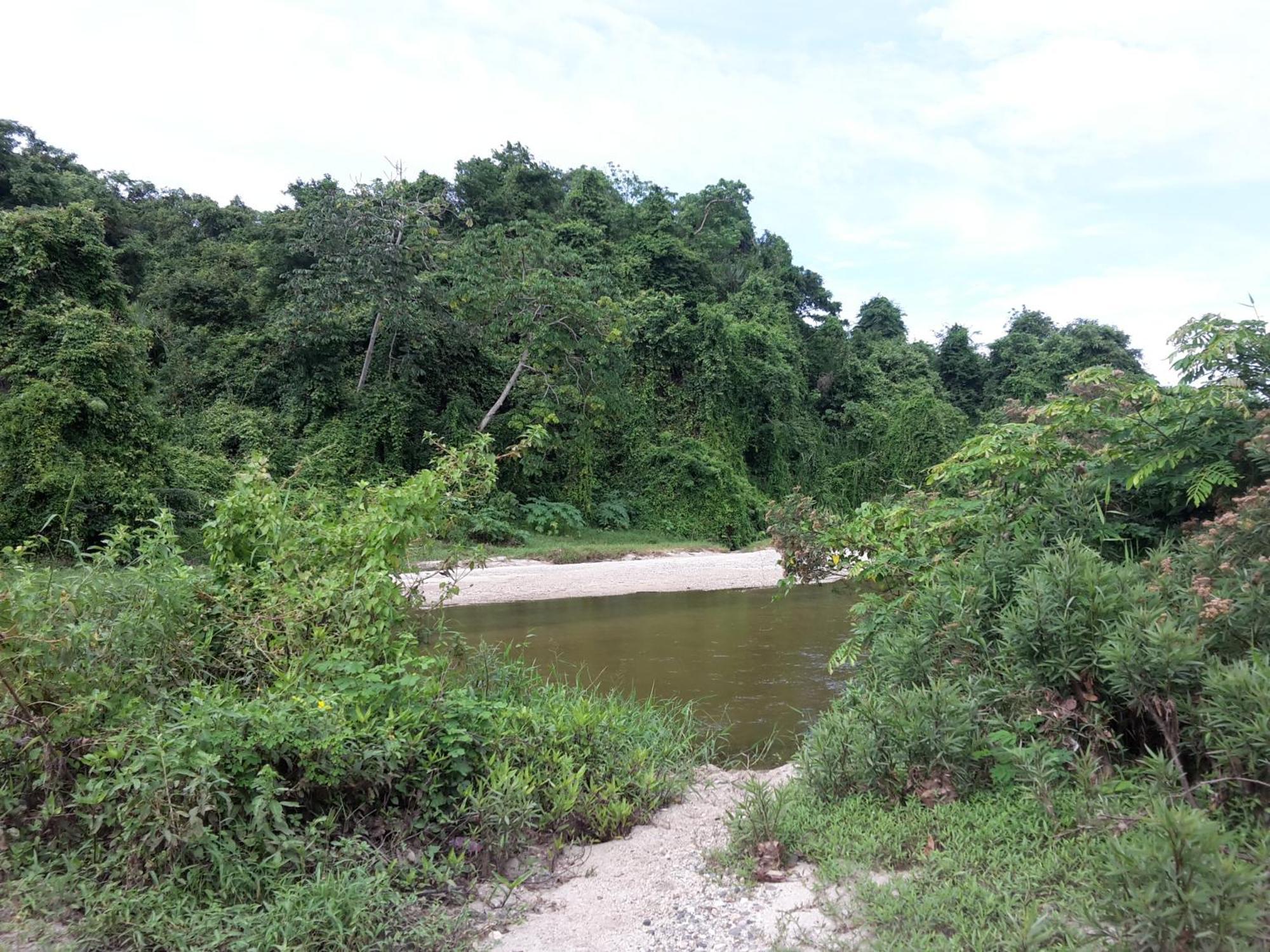 Cabana Wiwa Tayrona Los Naranjos Buitenkant foto
