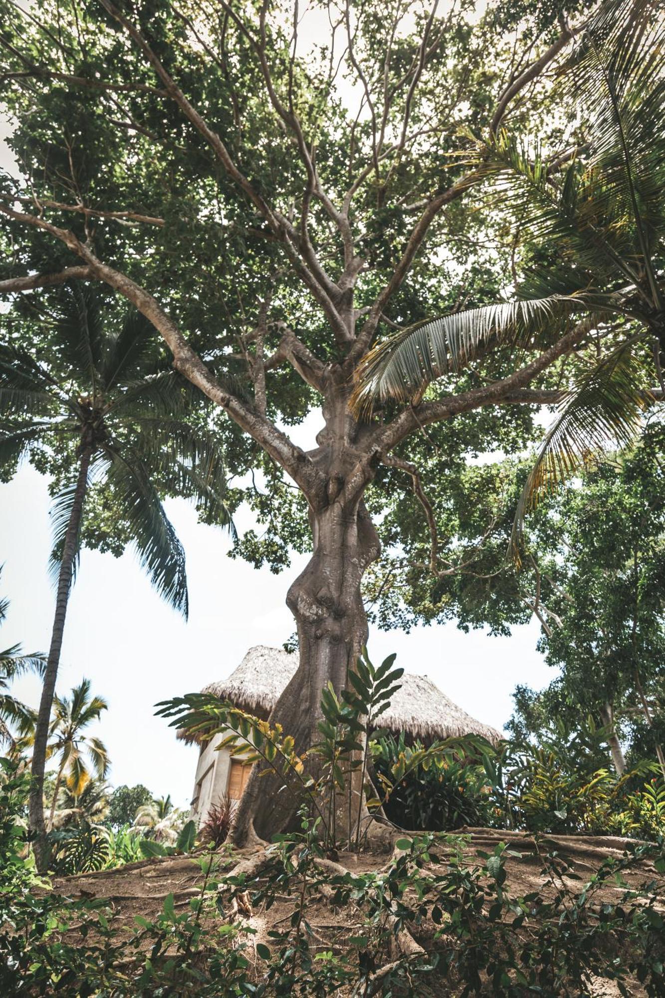 Cabana Wiwa Tayrona Los Naranjos Buitenkant foto