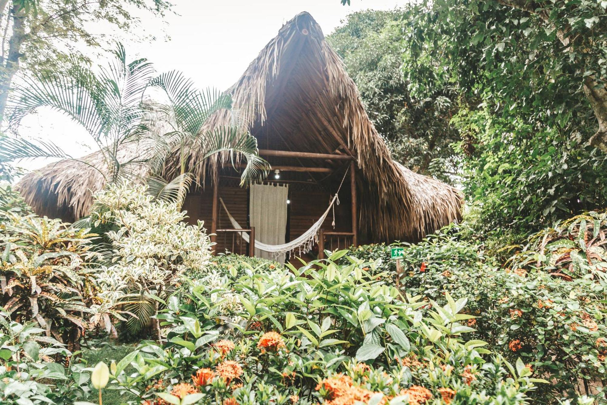 Cabana Wiwa Tayrona Los Naranjos Buitenkant foto